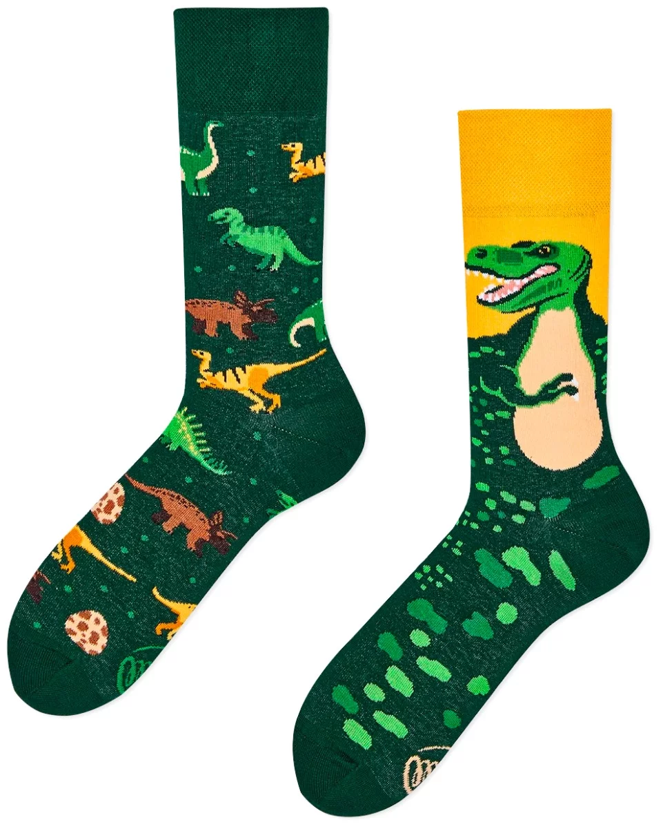 SOKKEN-ONLINE | The Dinosaurus sokken-39/42 | Many Mornings